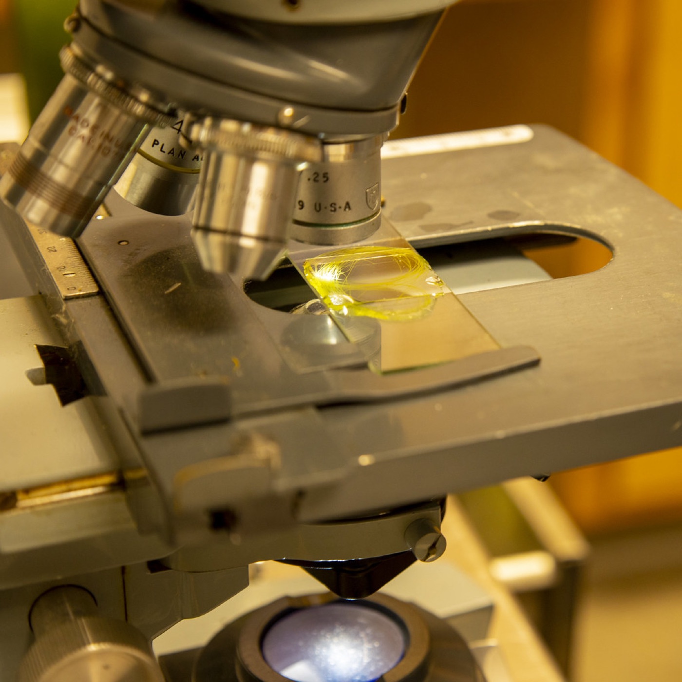 Microscope in a laboratory