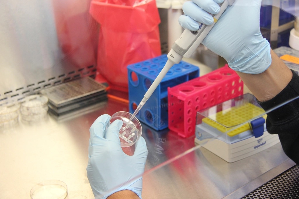Gloved hand using a pipette in a laboratory